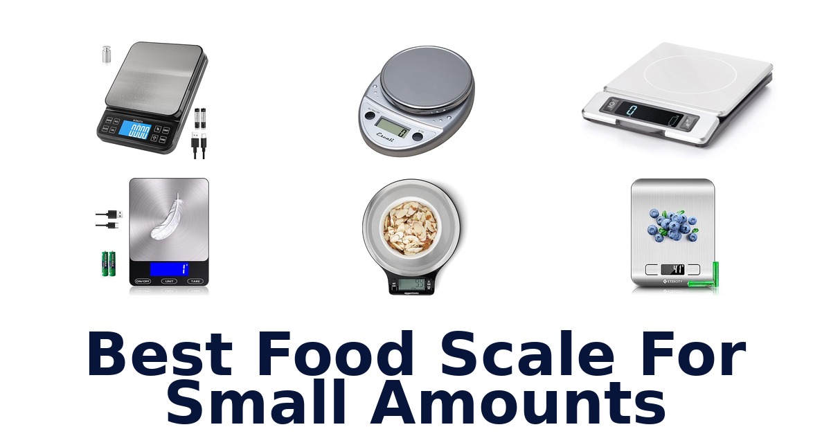 best food scale for small amounts