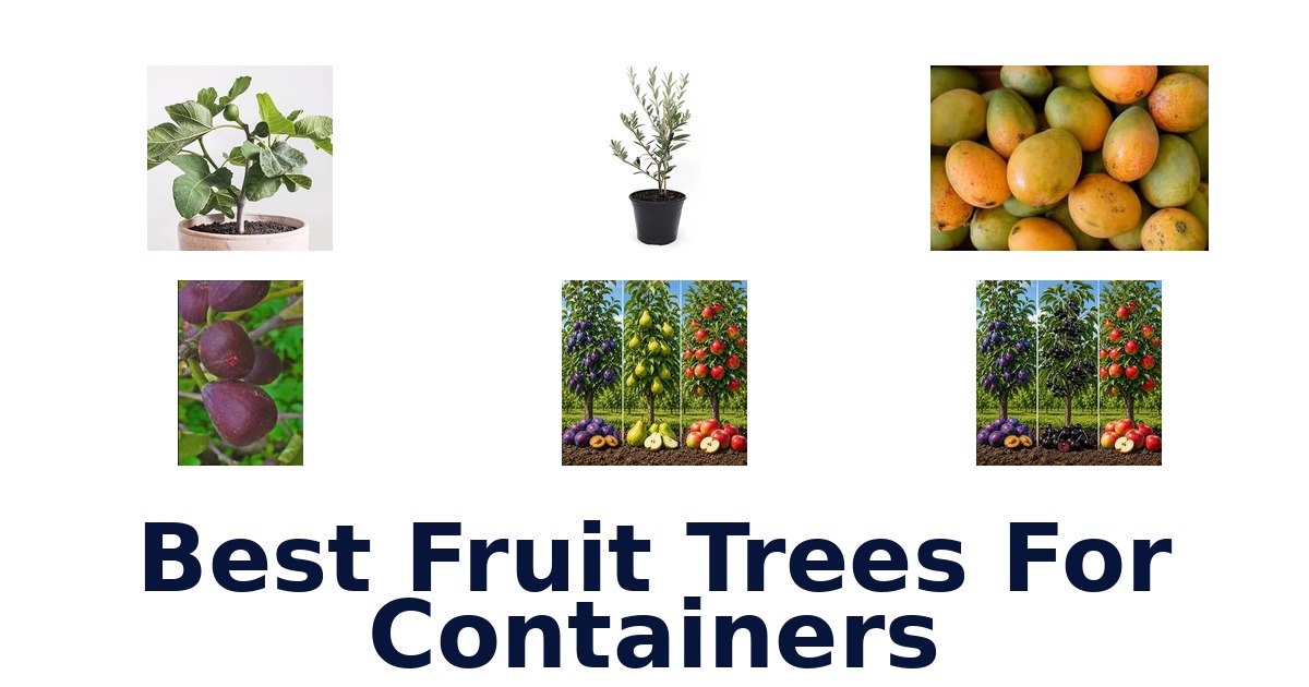 best fruit trees for containers