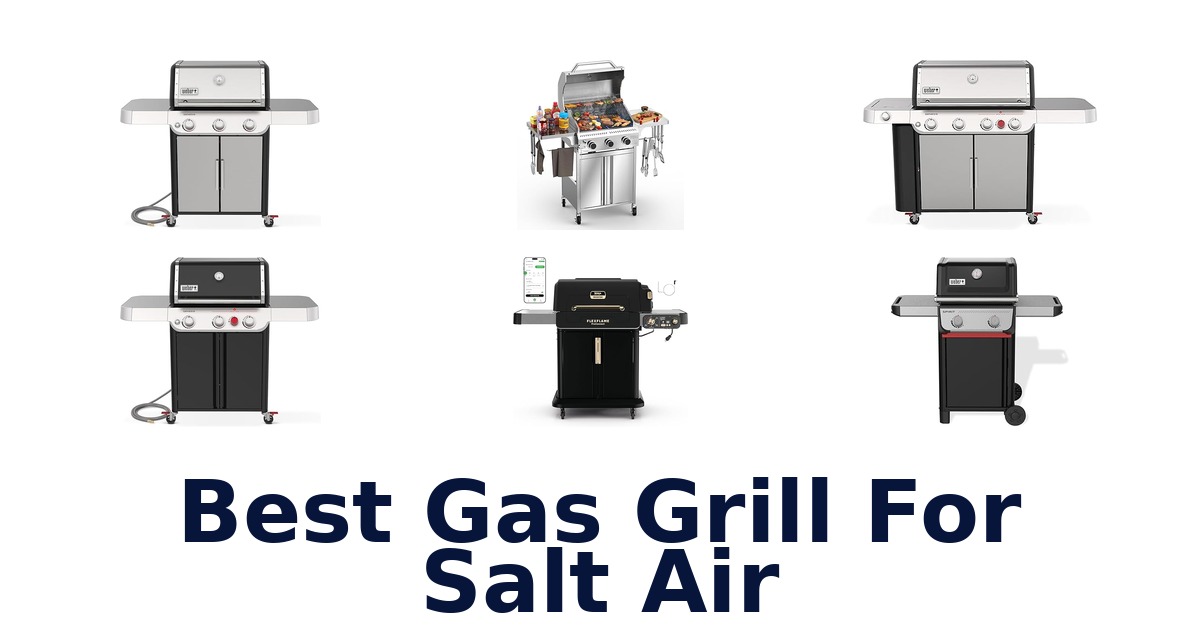 best gas grill for salt air