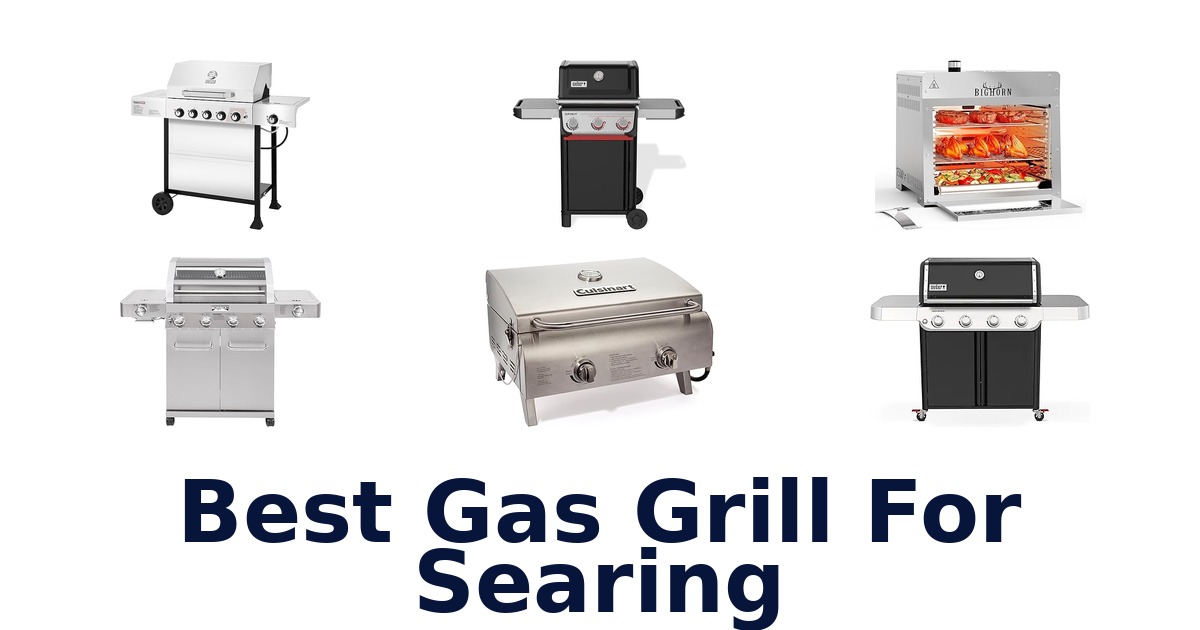 best gas grill for searing
