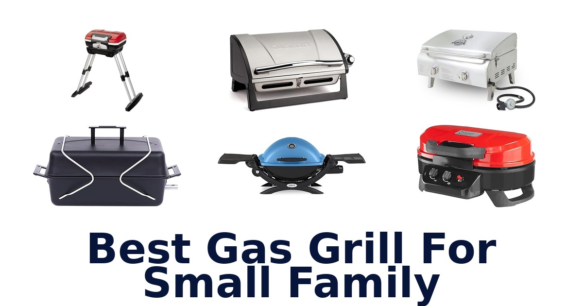 best gas grill for small family