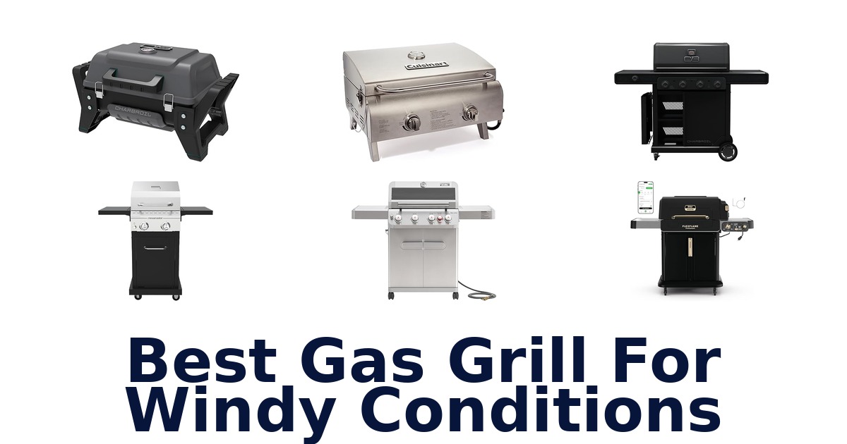 best gas grill for windy conditions