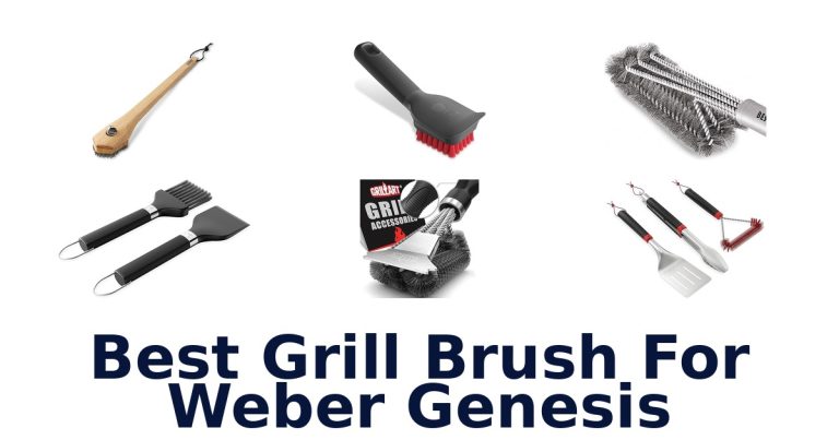 best grill brush for weber genesis
