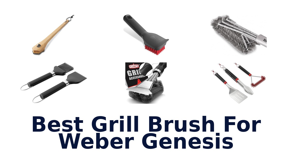 best grill brush for weber genesis