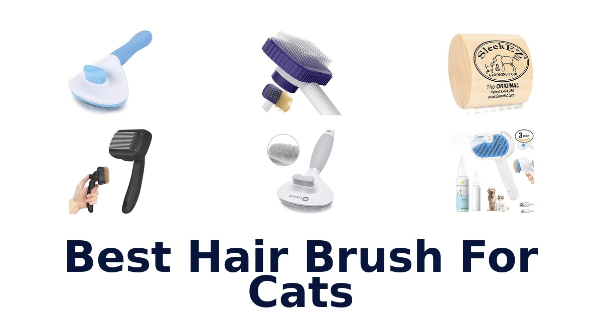 best hair brush for cats