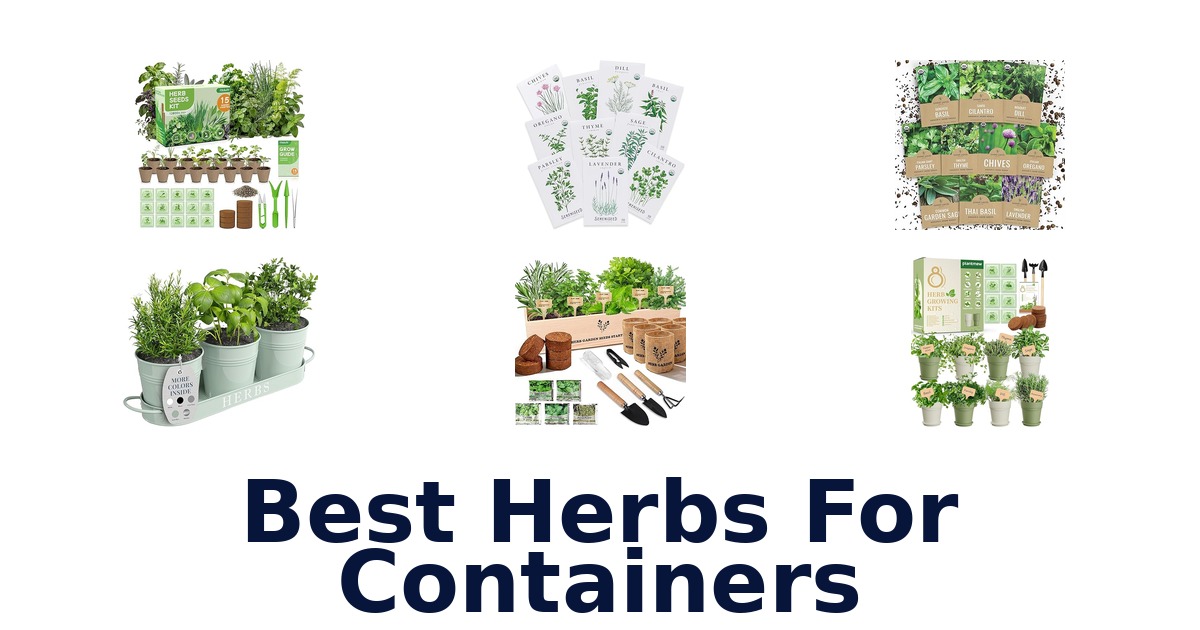 best herbs for containers