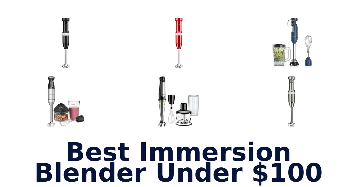 best immersion blender under $100