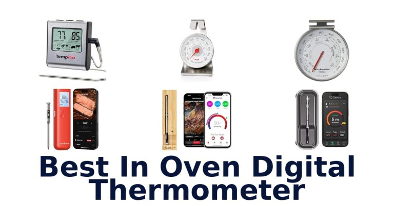 best in oven digital thermometer