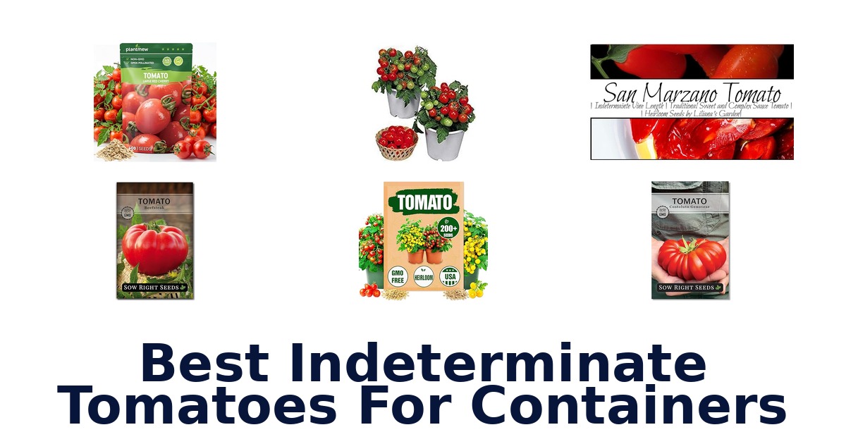 best indeterminate tomatoes for containers