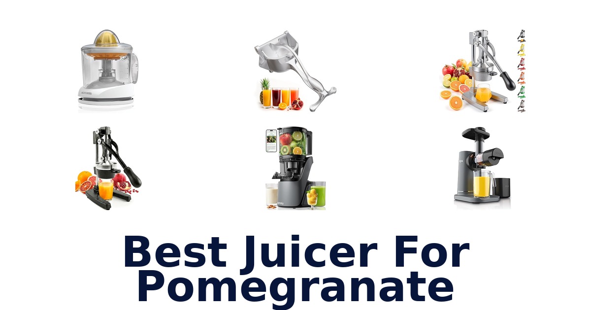 best juicer for pomegranate