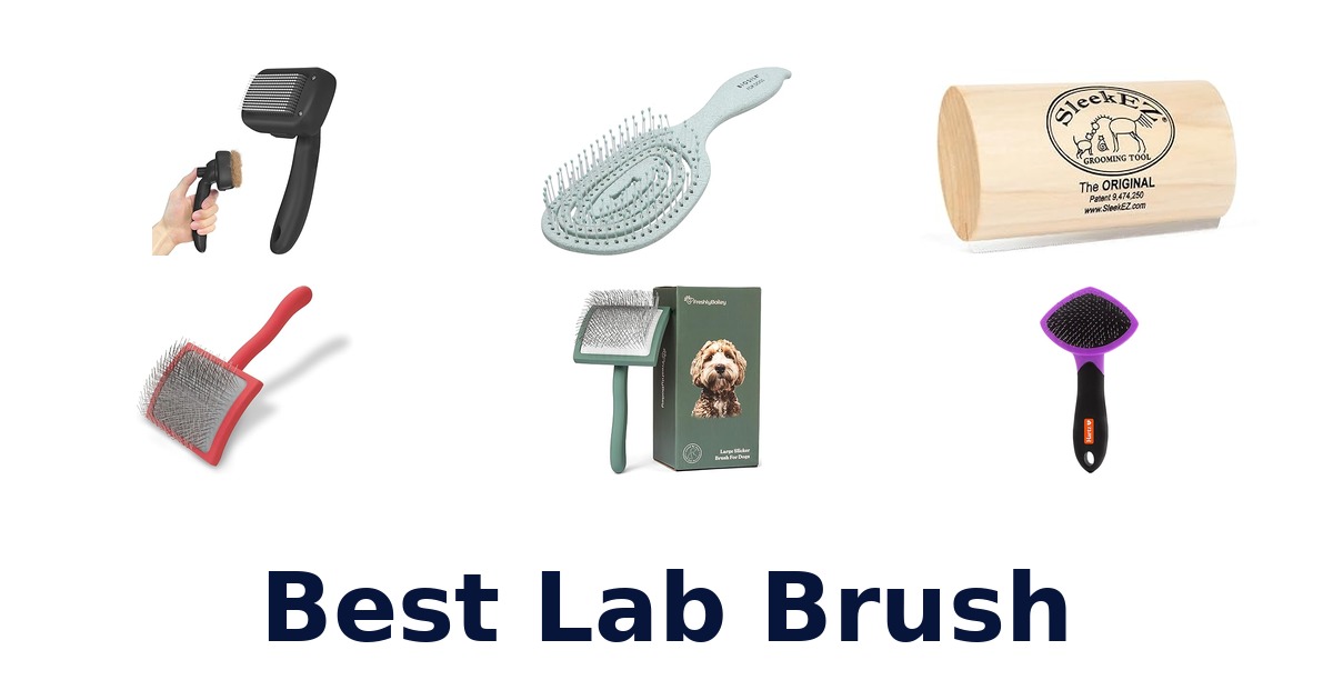 best lab brush