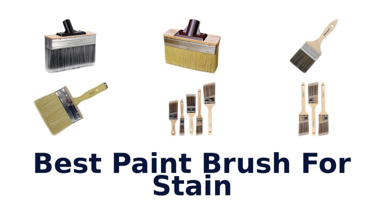 best paint brush for stain