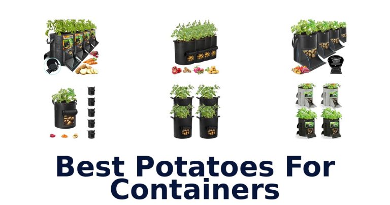 best potatoes for containers