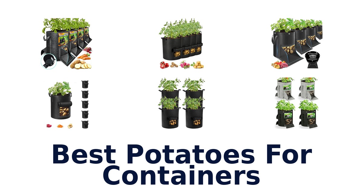 best potatoes for containers