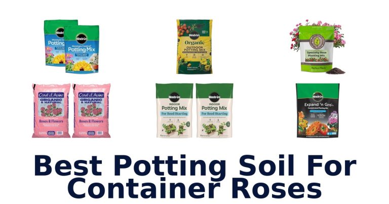 best potting soil for container roses