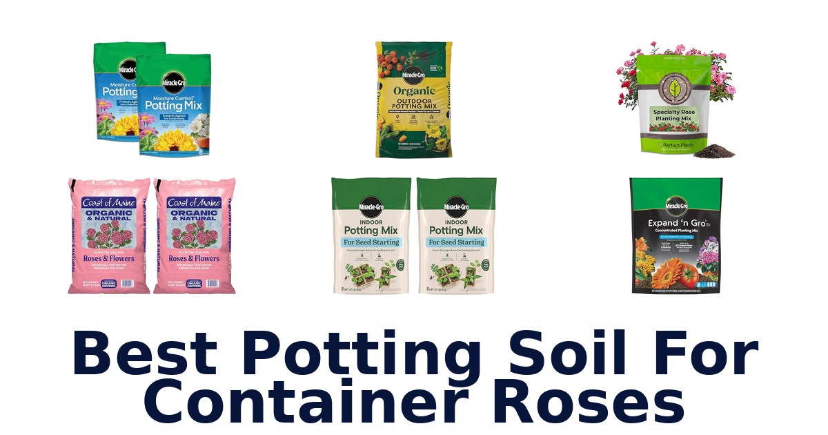 best potting soil for container roses