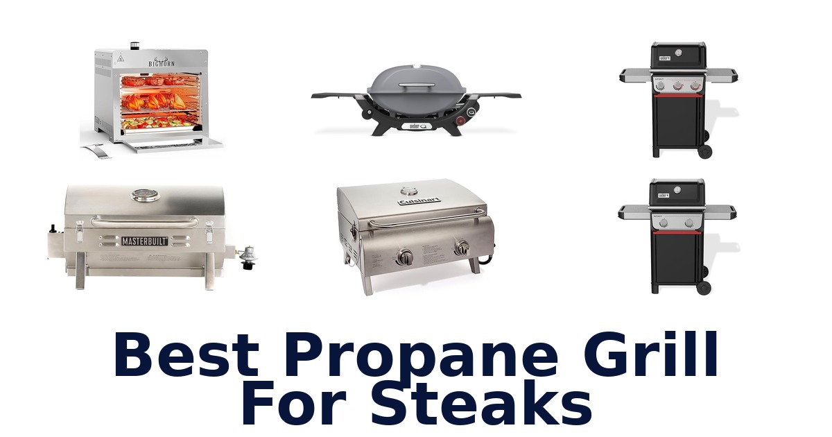 best propane grill for steaks