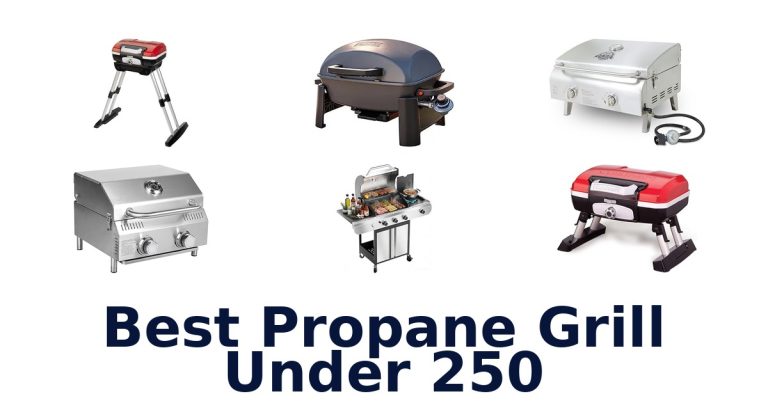 best propane grill under 250