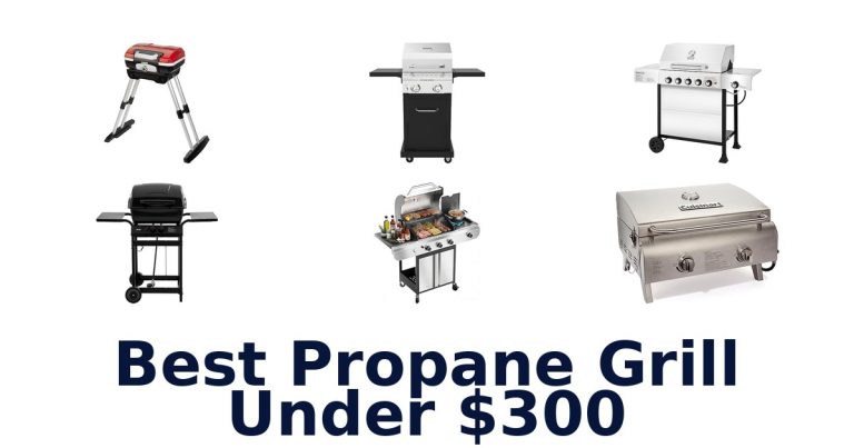 best propane grill under $300