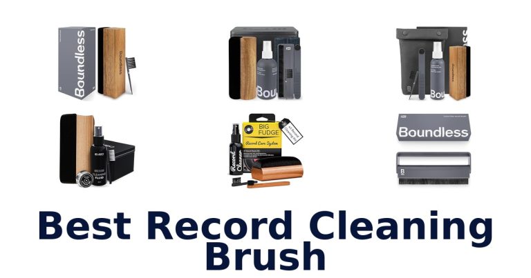 best record cleaning brush