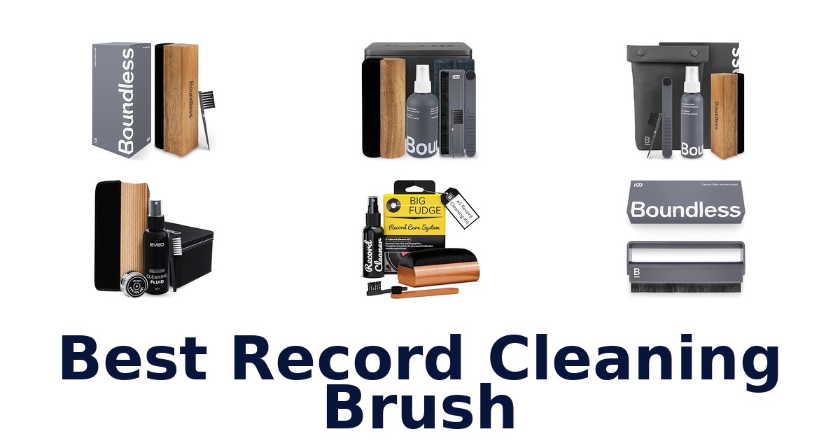best record cleaning brush