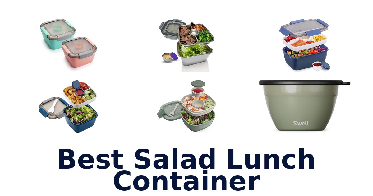 best salad lunch container