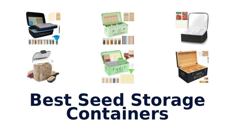 best seed storage containers