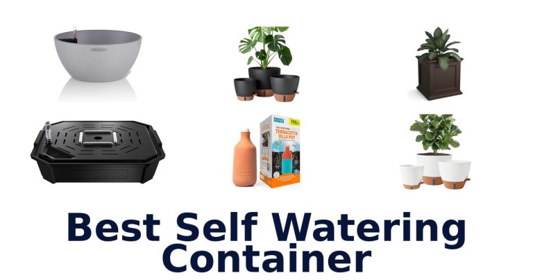 best self watering container