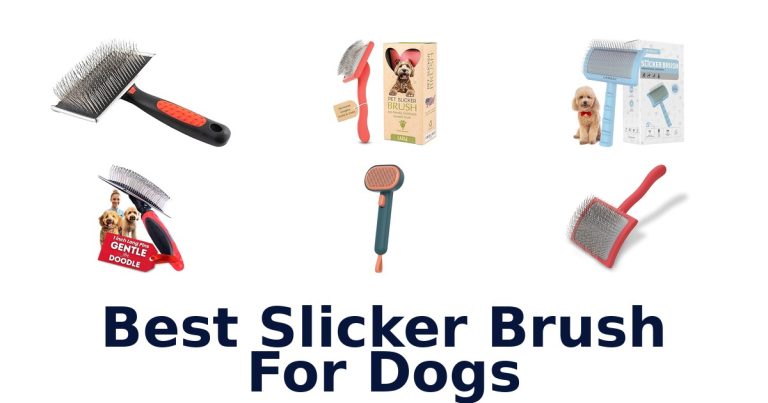 best slicker brush for dogs
