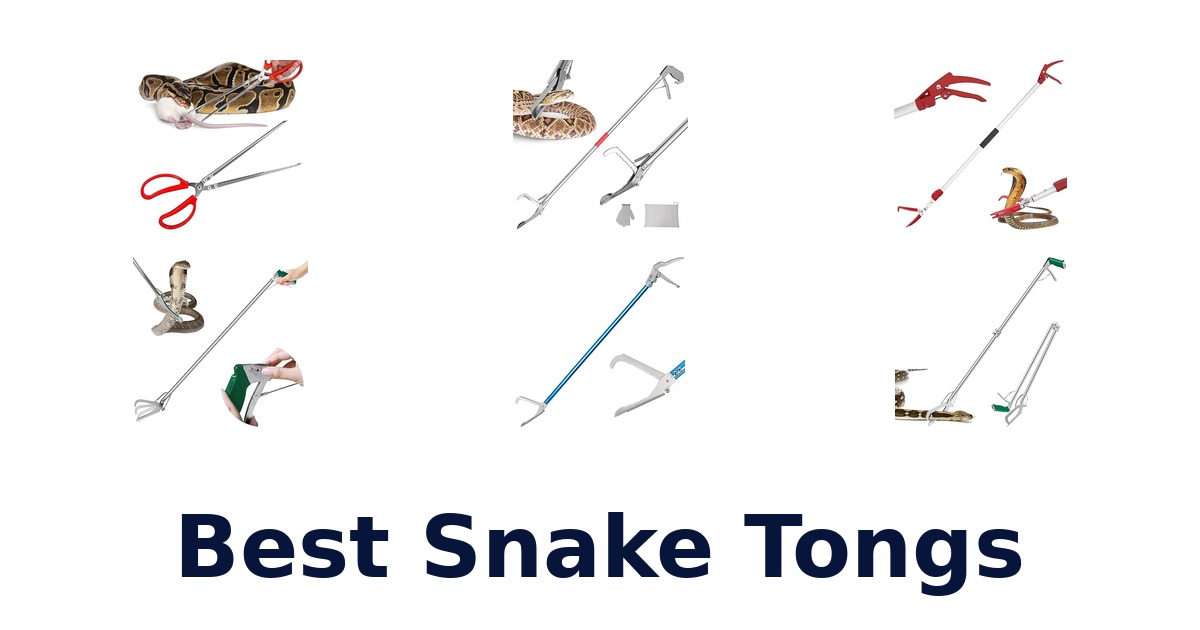 best snake tongs