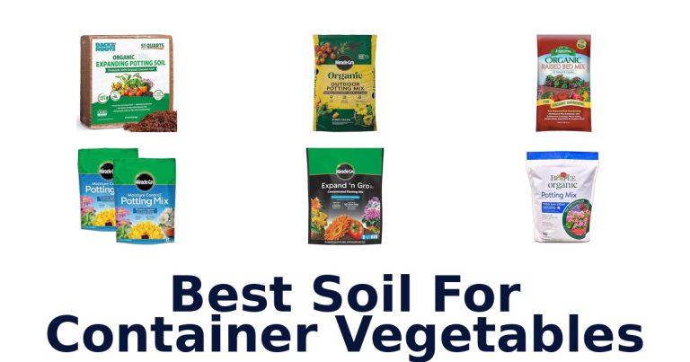 best soil for container vegetables