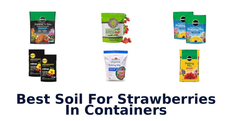 best soil for strawberries in containers