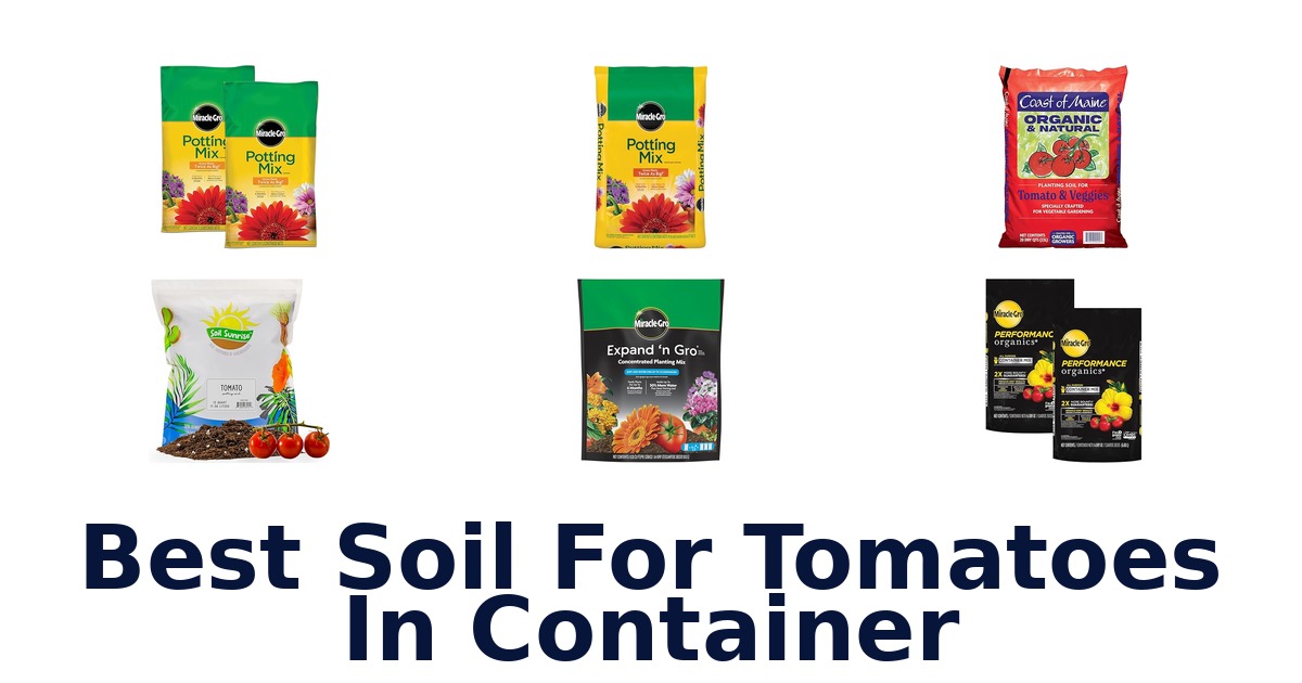 best soil for tomatoes in container