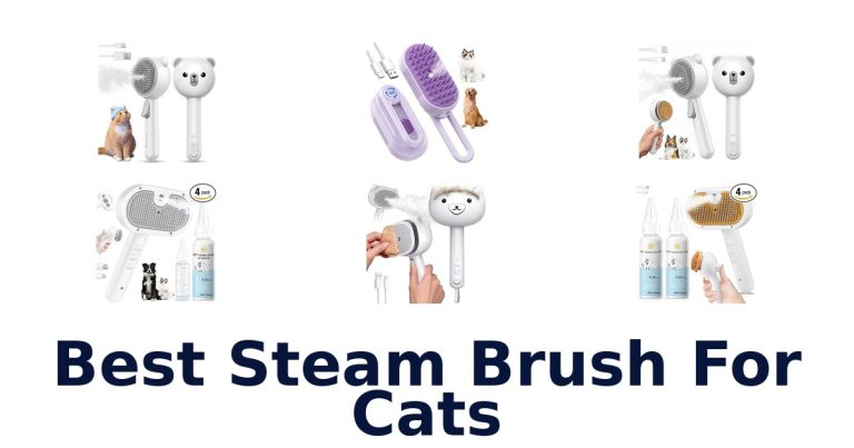 best steam brush for cats