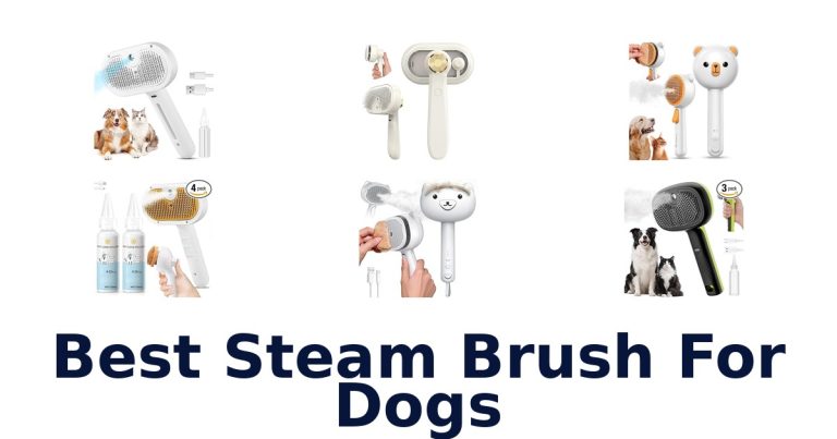 best steam brush for dogs