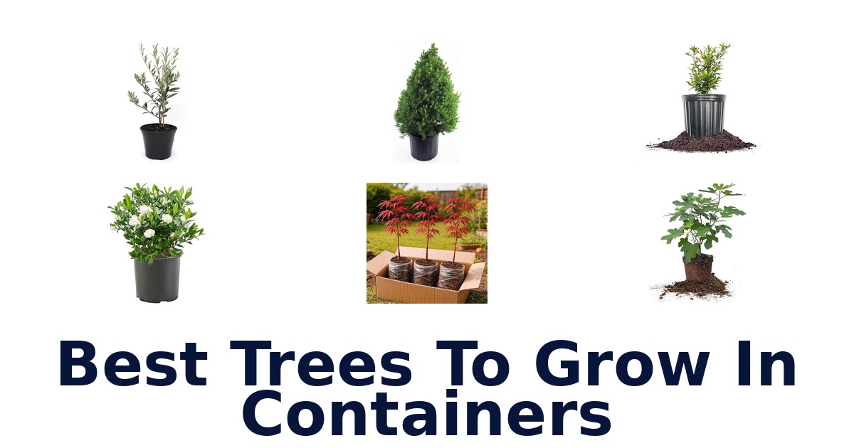 best trees to grow in containers