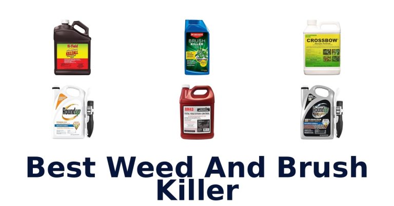 best weed and brush killer