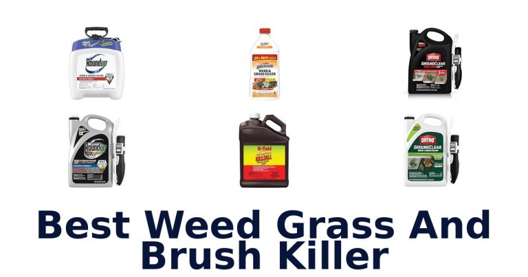best weed grass and brush killer