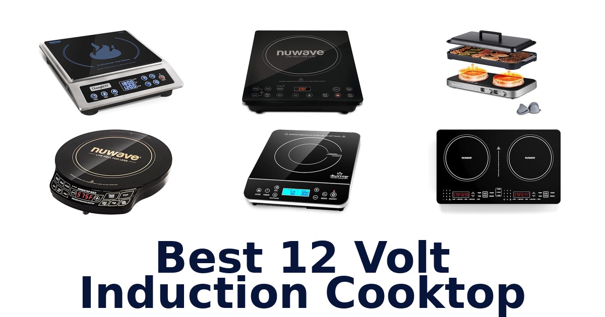best 12 volt induction cooktop