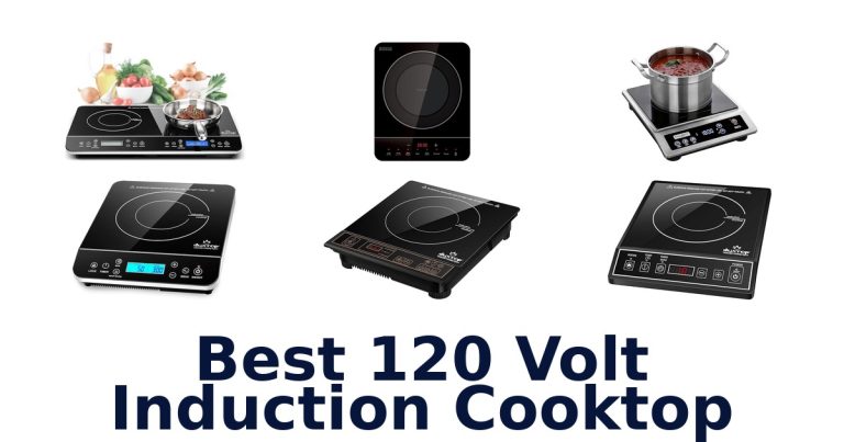 best 120 volt induction cooktop