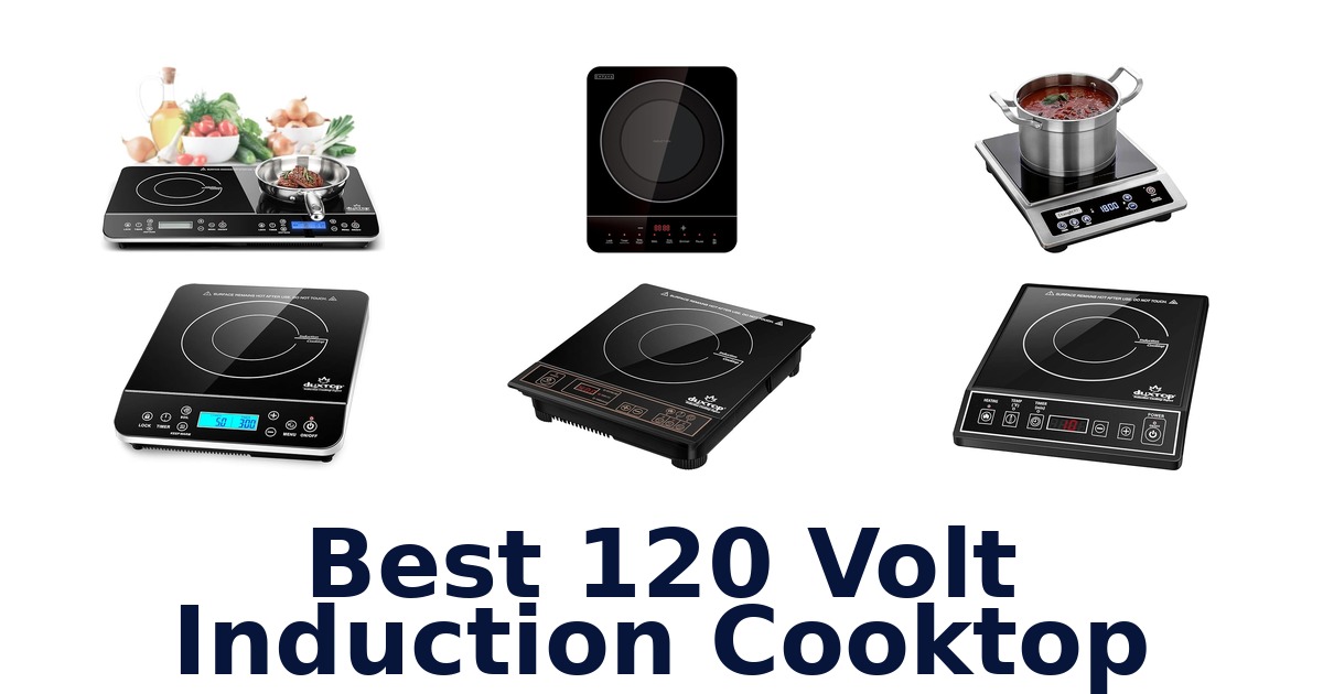 best 120 volt induction cooktop