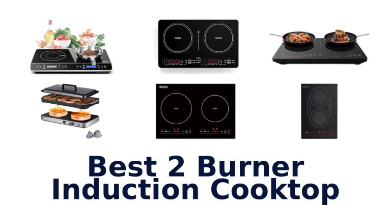 best 2 burner induction cooktop