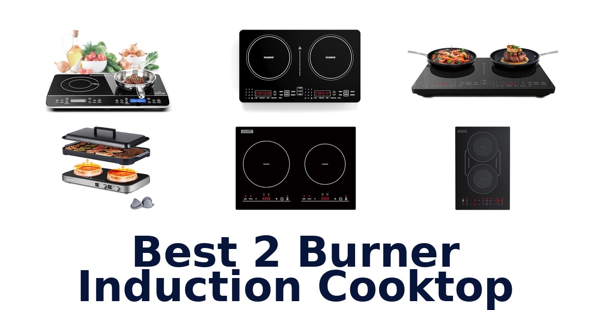 best 2 burner induction cooktop