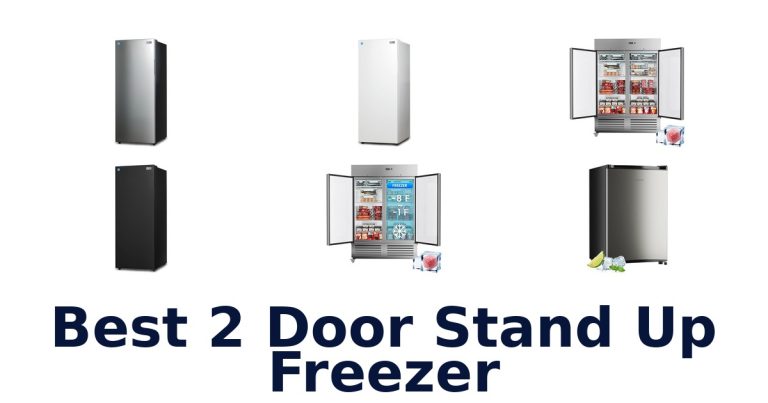 best 2 door stand up freezer