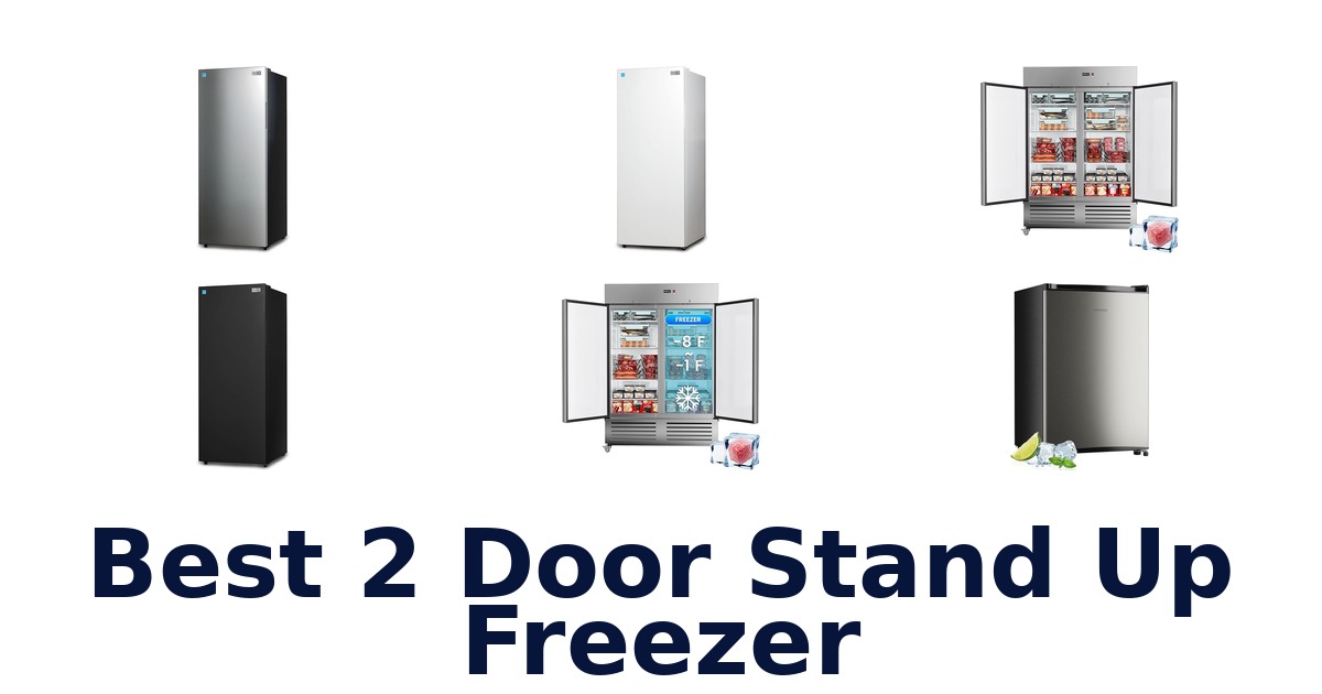 best 2 door stand up freezer