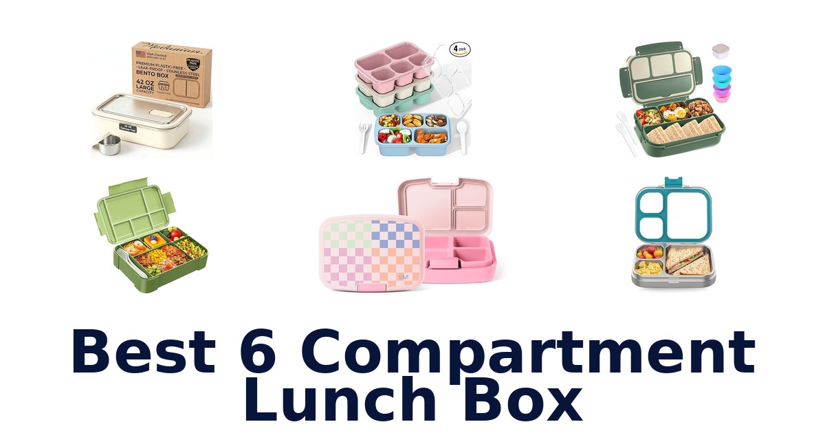 best 6 compartment lunch box