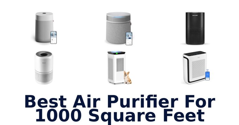 best air purifier for 1000 square feet