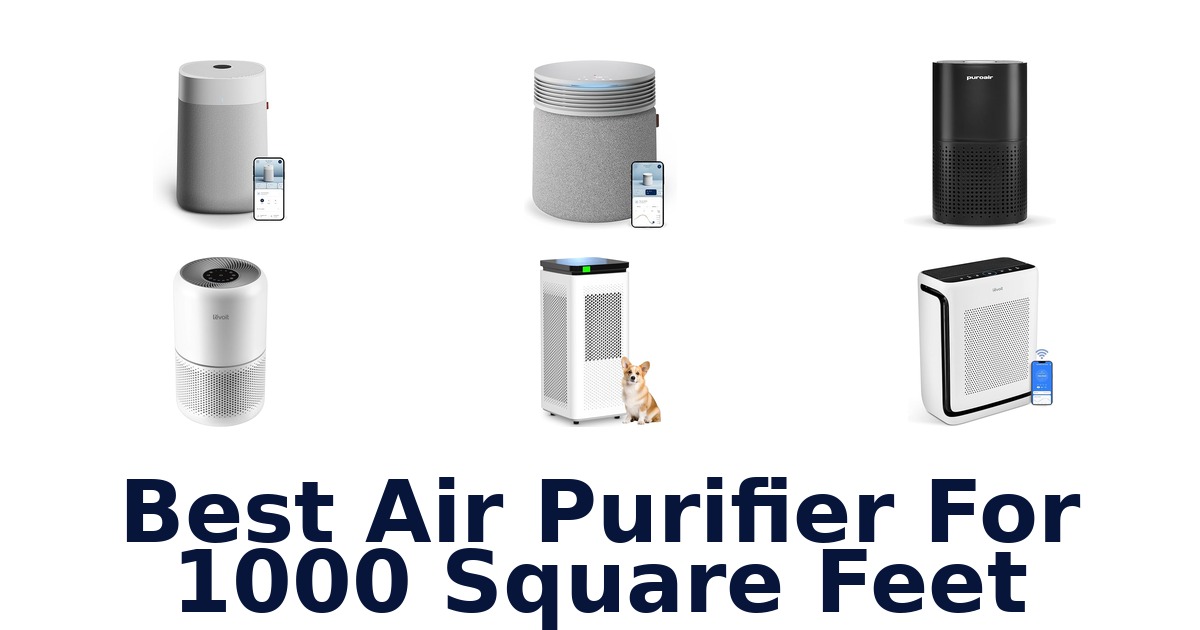 best air purifier for 1000 square feet