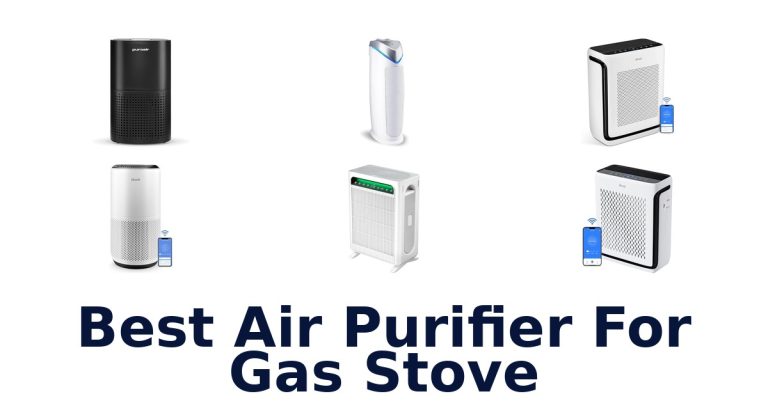 best air purifier for gas stove