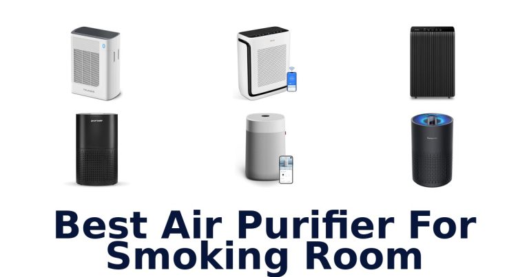 best air purifier for smoking room